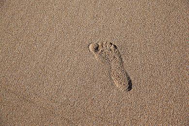 《秘影曼德拉》Mandragora试玩DEMO震撼上线！三种职业全新开放！